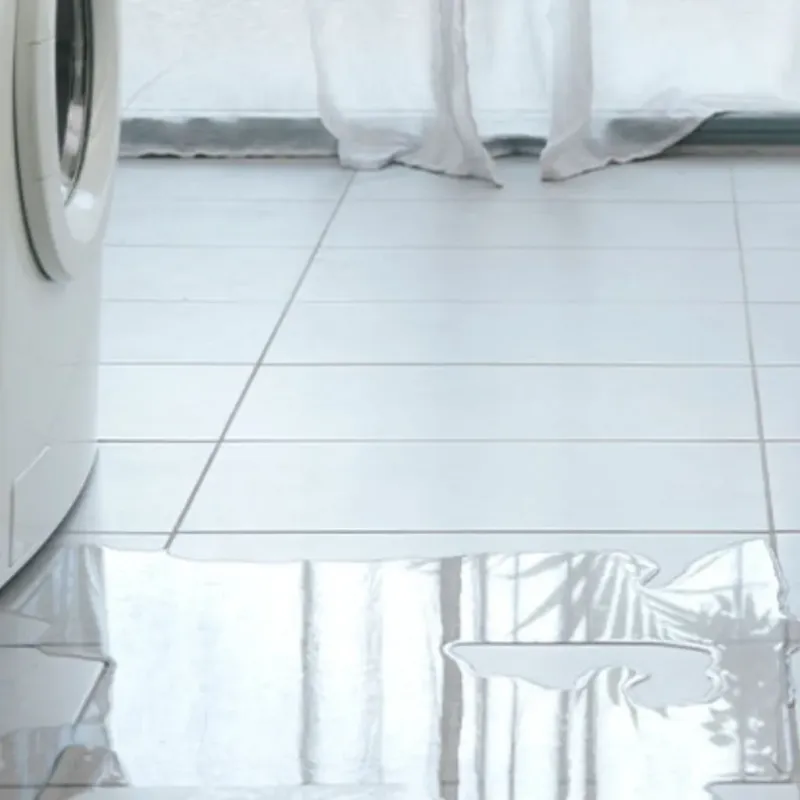 Appliance Leak Cleanup in India Hook, SC